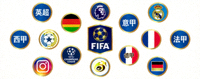 国际足球联合会及相关顶级联赛合作标识