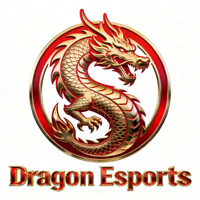国际顶级电竞战队Dragon Esports标志，以龙形图案为主，代表力量与荣耀
